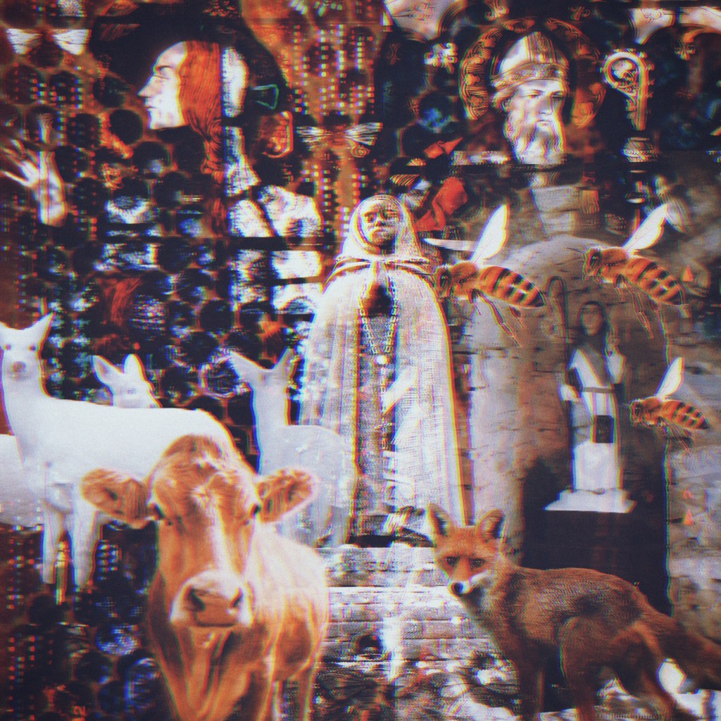 Saint Tales: Narratives of Identity and Medicine in the Landscape