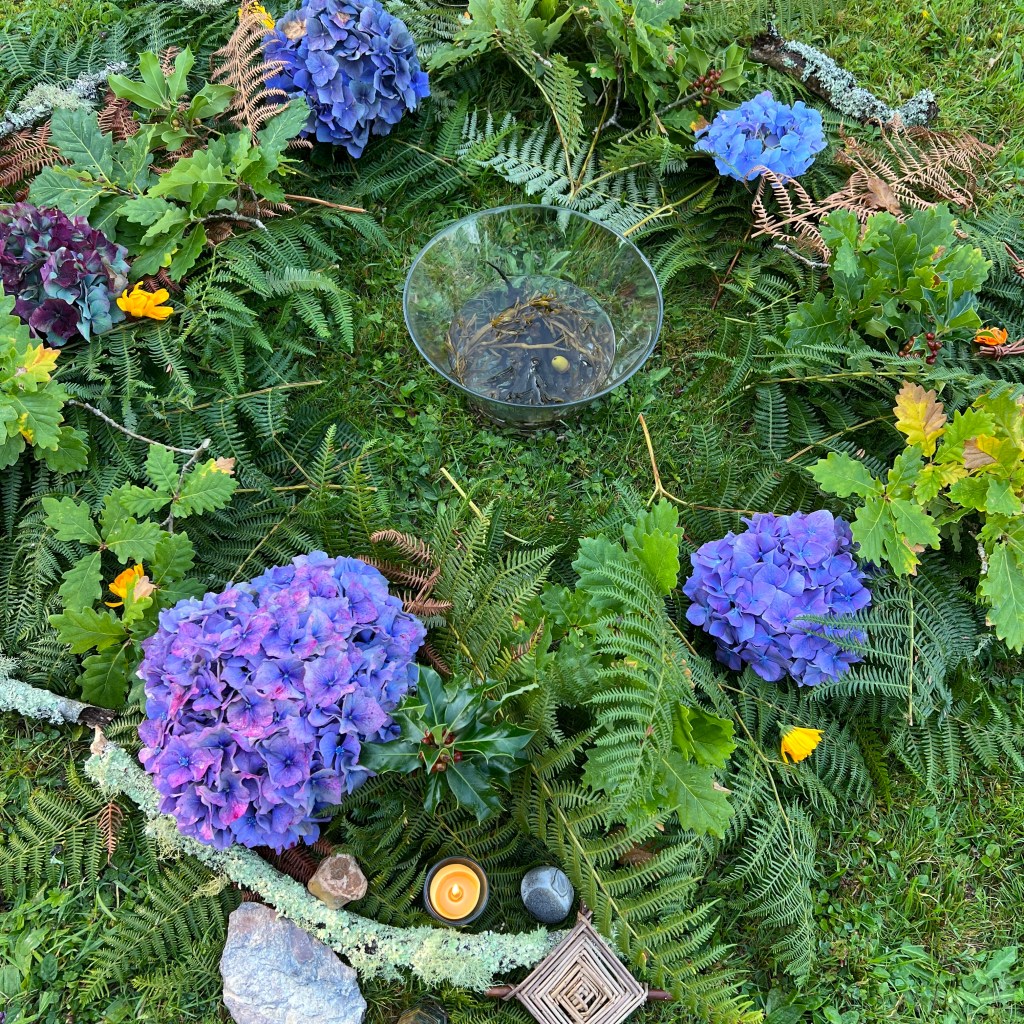 Living Traditions with @wildroutesireland ~Day&nbsp;9/10/11